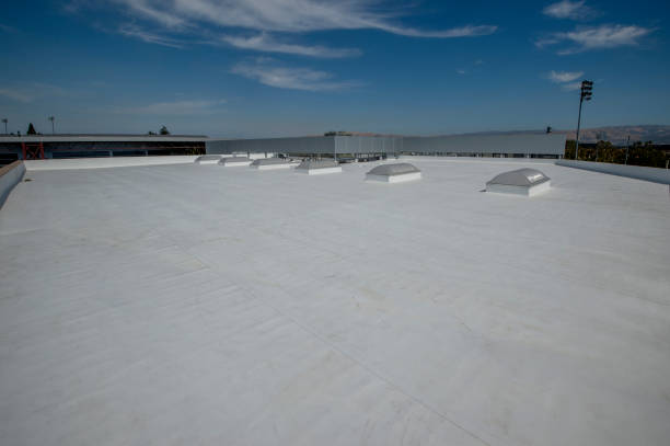 Best Skylight Installation and Repair  in East Camden, SC