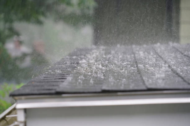 Best 4 Ply Roofing  in East Camden, SC