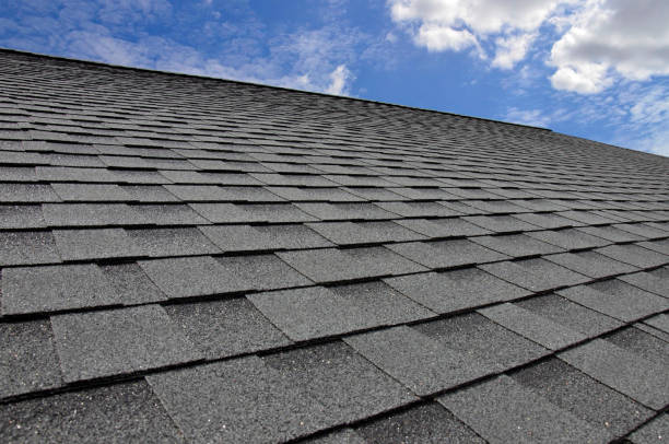 Best Roof Maintenance and Cleaning  in East Camden, SC