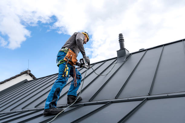 Best Chimney Flashing Repair  in East Camden, SC